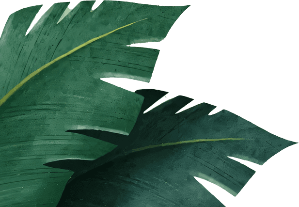 leaf 1