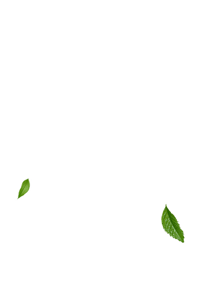 Leaves cluster mobile